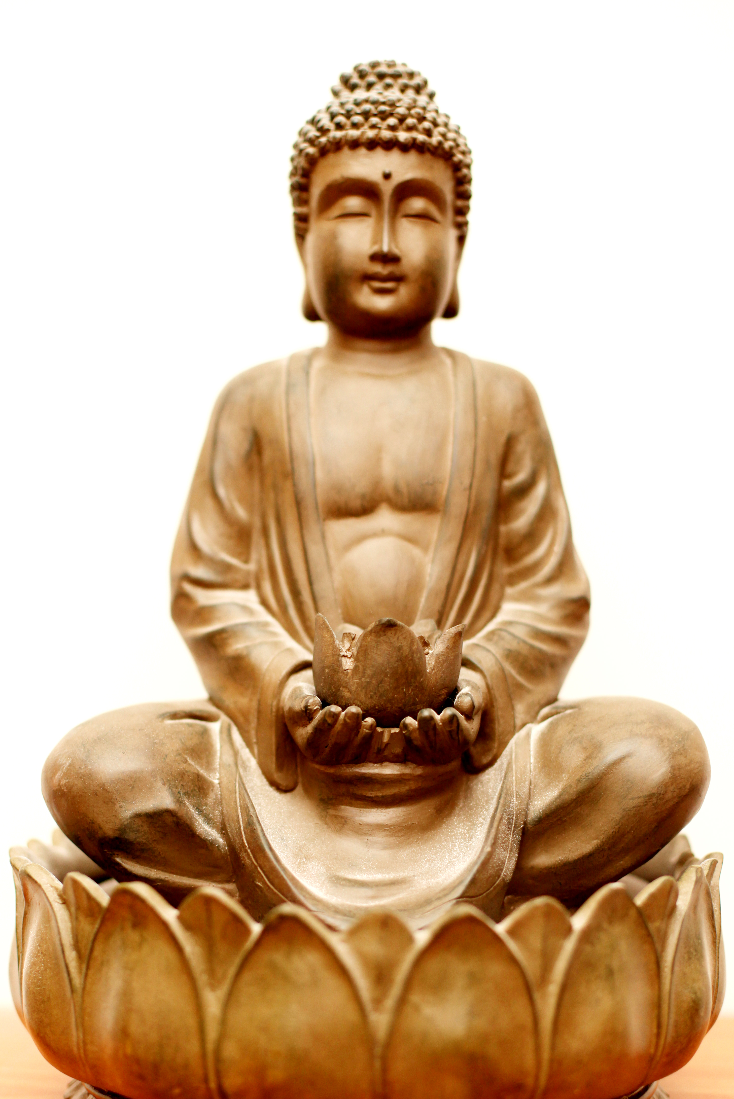 Yoga Online